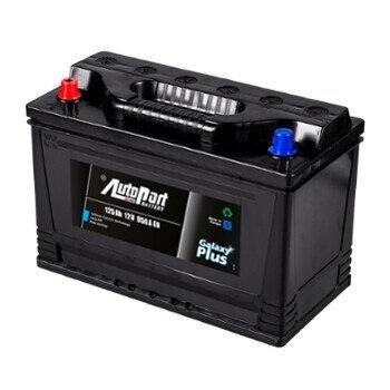 Akumuliatorius AP 125Ah-12V-950A MTG